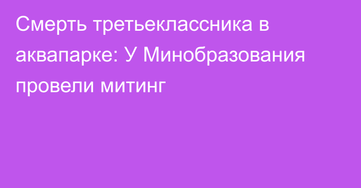 Смерть третьеклассника в аквапарке: У Минобразования провели митинг