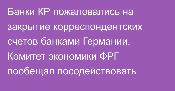 Банки КР пожаловались на закрытие корреспондентских счетов банками Германии. Комитет экономики ФРГ пообещал посодействовать 