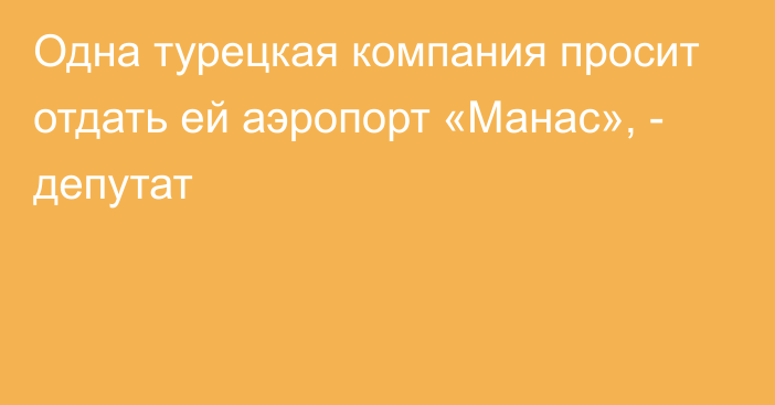 Одна турецкая компания просит отдать ей аэропорт «Манас», - депутат