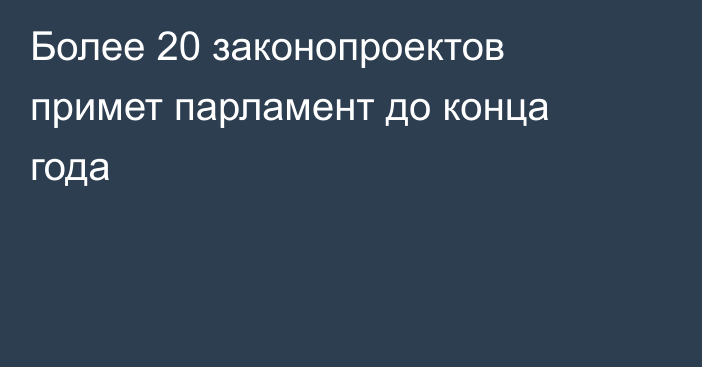 Более 20 законопроектов примет парламент до конца года