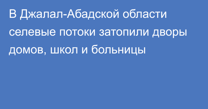 В Джалал-Абадской области селевые потоки затопили дворы домов, школ и больницы