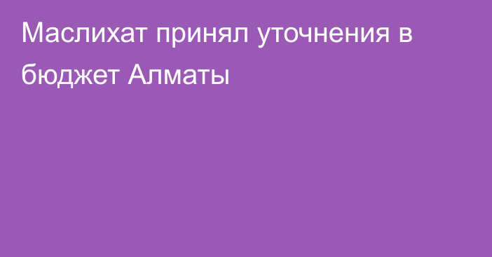 Маслихат принял уточнения в бюджет Алматы