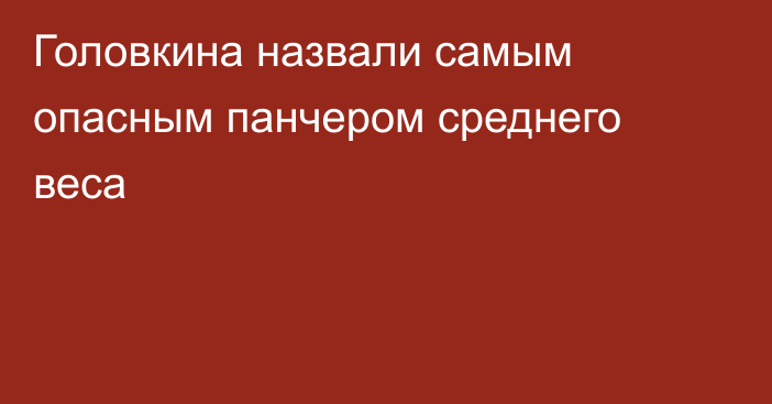 Головкина назвали самым опасным панчером среднего веса