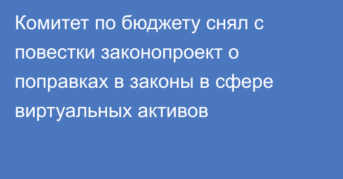 Комитет по бюджету снял с повестки законопроект о поправках в законы в сфере виртуальных активов