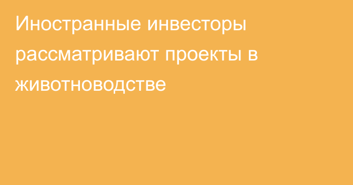 Иностранные инвесторы рассматривают проекты в животноводстве