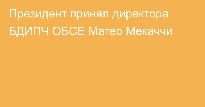 Президент принял директора БДИПЧ ОБСЕ Матео Мекаччи