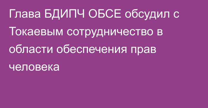 Глава БДИПЧ ОБСЕ обсудил с Токаевым сотрудничество в области обеспечения прав человека