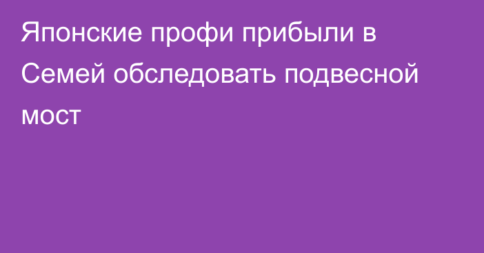 Японские профи прибыли в Семей обследовать подвесной мост