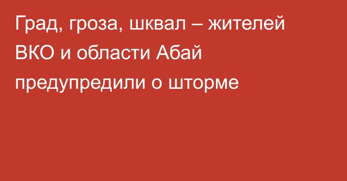 Град, гроза, шквал – жителей ВКО и области Абай предупредили о шторме