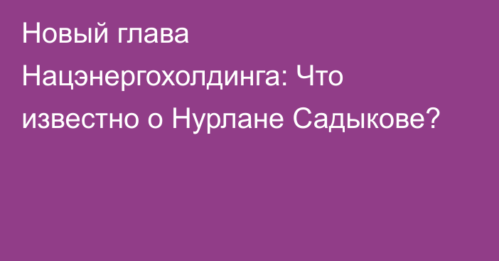 Новый глава Нацэнергохолдинга: Что известно о Нурлане Садыкове?