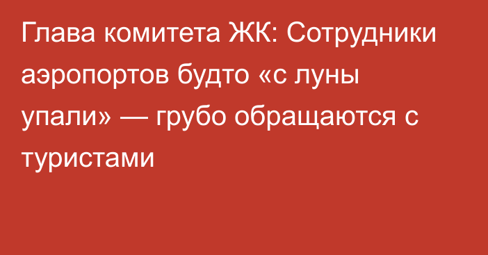 Глава комитета ЖК: Сотрудники аэропортов будто «с луны упали» — грубо обращаются с туристами