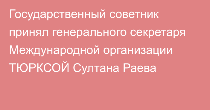 Государственный советник принял генерального секретаря Международной организации ТЮРКСОЙ Султана Раева