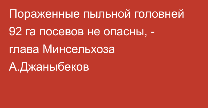 Пораженные пыльной головней 92 га посевов не опасны, - глава Минсельхоза А.Джаныбеков