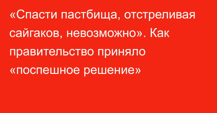 «Спасти пастбища, отстреливая сайгаков, невозможно». Как правительство приняло «поспешное решение»