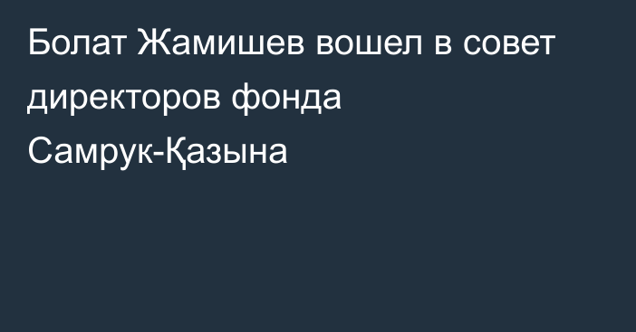 Болат Жамишев вошел в совет директоров фонда Самрук-Қазына