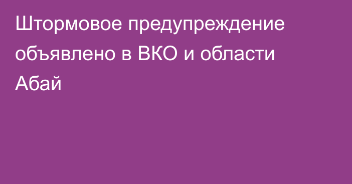 Штормовое предупреждение объявлено в ВКО и области Абай