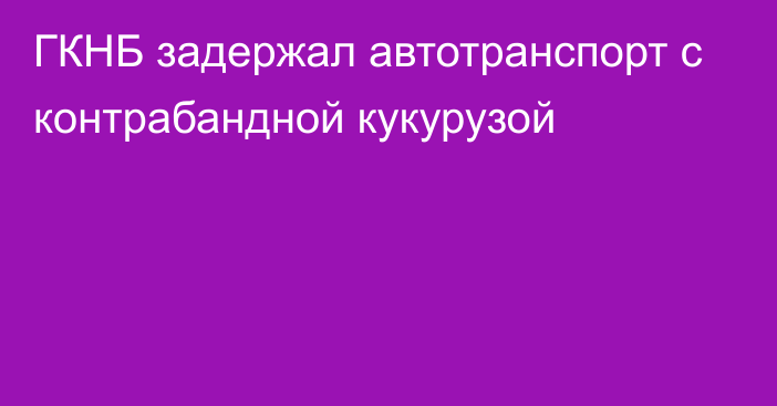 ГКНБ задержал автотранспорт с контрабандной кукурузой