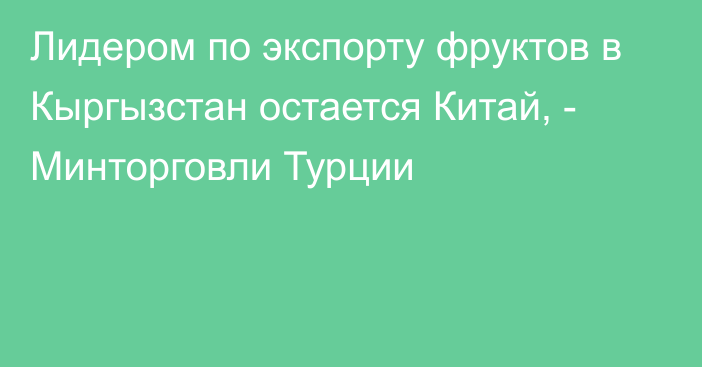 Лидером по экспорту фруктов в Кыргызстан остается Китай, - Минторговли Турции