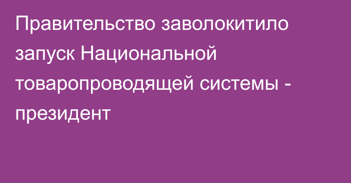 Правительство заволокитило запуск Национальной товаропроводящей системы - президент