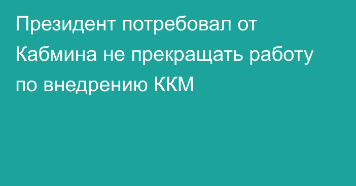 Президент потребовал от Кабмина не прекращать работу по внедрению ККМ