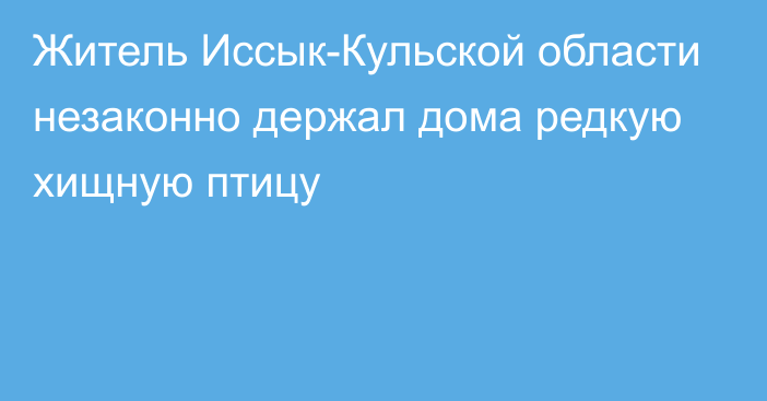 Житель Иссык-Кульской области незаконно держал дома редкую хищную птицу