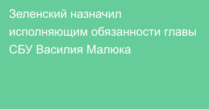 Зеленский назначил исполняющим обязанности главы СБУ Василия Малюка