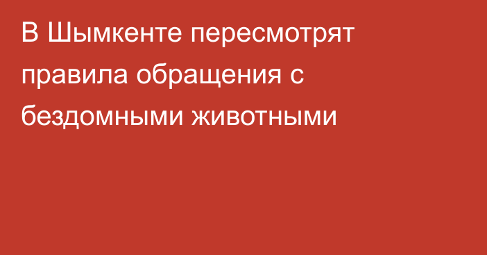 В Шымкенте пересмотрят правила обращения с бездомными животными