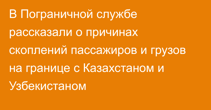 В Пограничной службе рассказали о причинах скоплений пассажиров и грузов на границе с Казахстаном и Узбекистаном