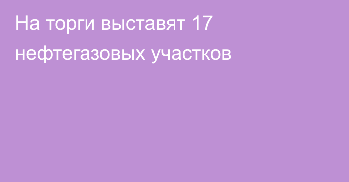 На торги выставят 17 нефтегазовых участков