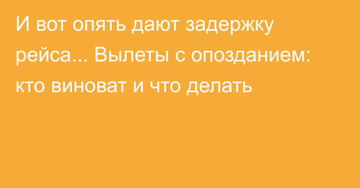 И вот опять дают задержку рейса... Вылеты с опозданием: кто виноват и что делать