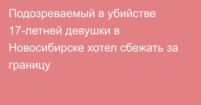 Подозреваемый в убийстве 17-летней девушки в Новосибирске хотел сбежать за границу