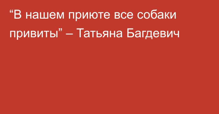 “В нашем приюте все собаки привиты” – Татьяна Багдевич