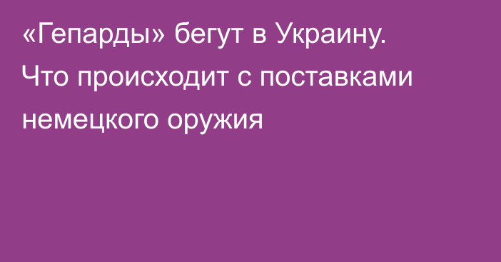 «Гепарды» бегут в Украину. Что происходит с поставками немецкого оружия