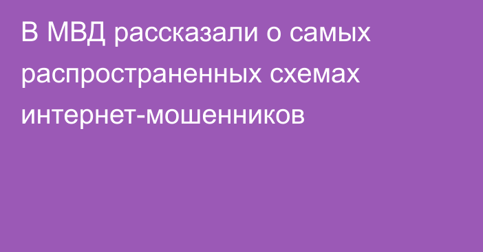 В МВД рассказали о самых распространенных схемах интернет-мошенников