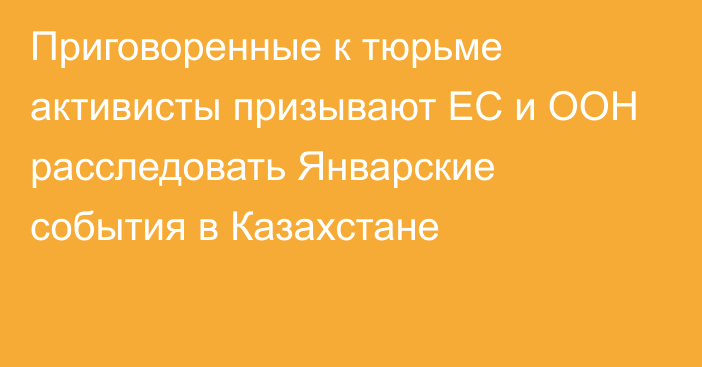 Приговоренные к тюрьме активисты призывают ЕС и ООН расследовать Январские события в Казахстане