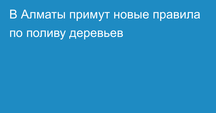 В Алматы примут новые правила по поливу деревьев