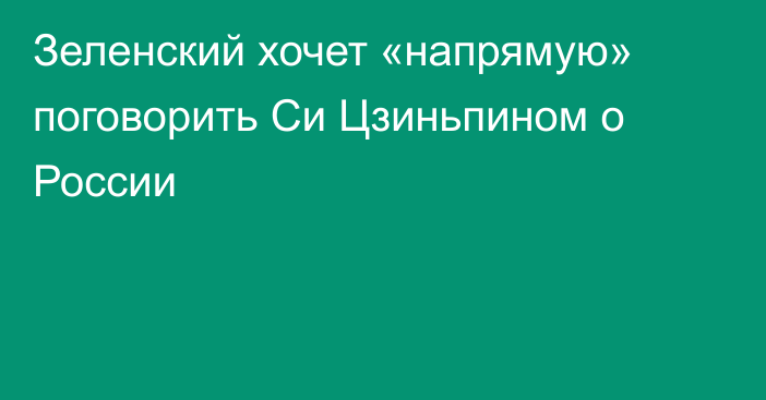 Зеленский хочет «напрямую» поговорить Си Цзиньпином о России