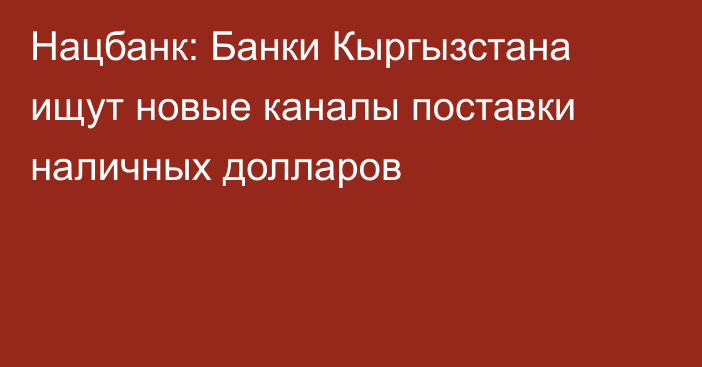 Нацбанк: Банки Кыргызстана ищут новые каналы поставки наличных долларов