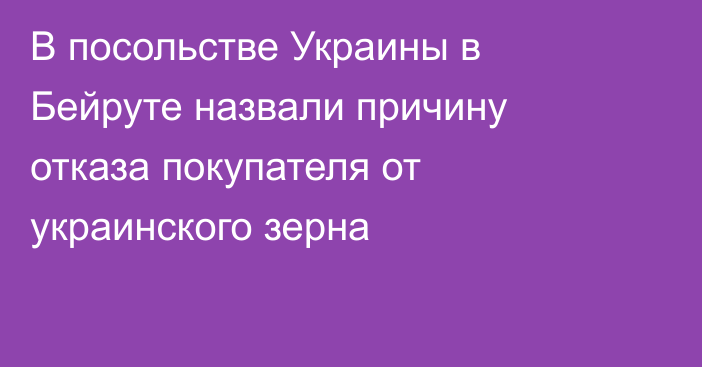 В посольстве Украины в Бейруте назвали причину отказа покупателя от украинского зерна