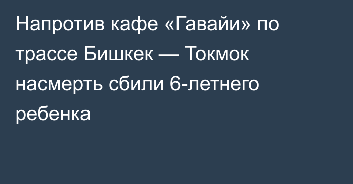 Напротив кафе «Гавайи» по трассе Бишкек — Токмок насмерть сбили 6-летнего ребенка