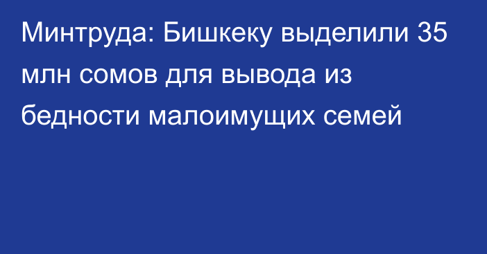 Минтруда: Бишкеку выделили 35 млн сомов для вывода из бедности малоимущих семей