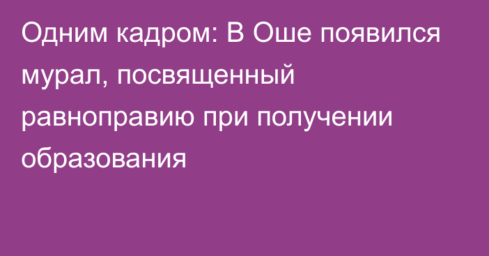 Одним кадром: В Оше появился мурал, посвященный равноправию при получении образования