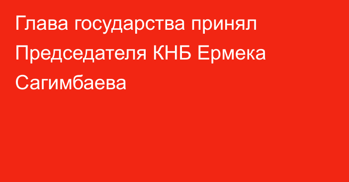 Глава государства принял Председателя КНБ Ермека Сагимбаева