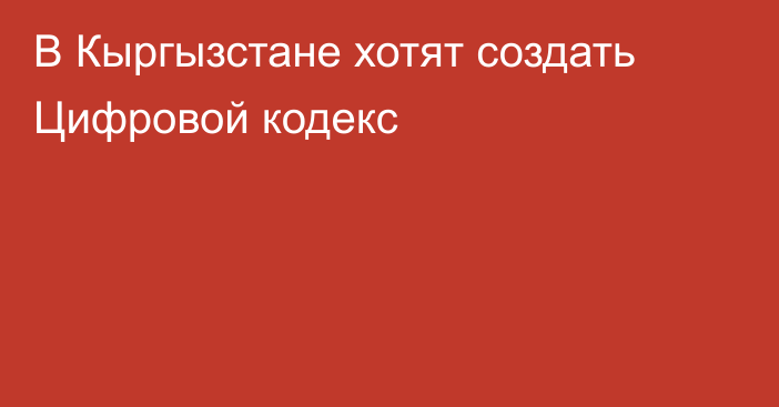 В Кыргызстане хотят создать Цифровой кодекс