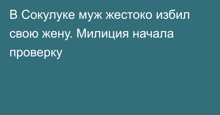 В Сокулуке муж жестоко избил свою жену. Милиция начала проверку