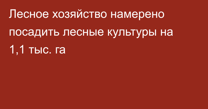 Лесное хозяйство намерено посадить лесные культуры на 1,1 тыс. га