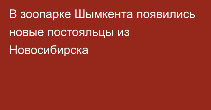 В зоопарке Шымкента появились новые постояльцы из Новосибирска