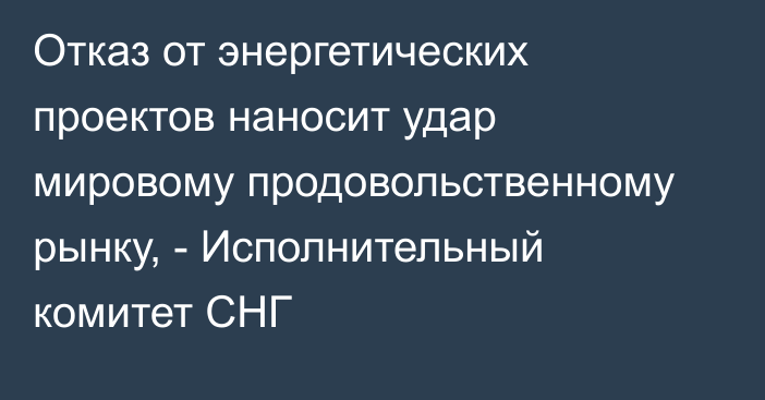 Отказ от энергетических проектов наносит удар мировому продовольственному рынку, - Исполнительный комитет СНГ