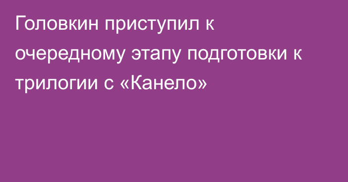 Головкин приступил к очередному этапу подготовки к трилогии с «Канело»