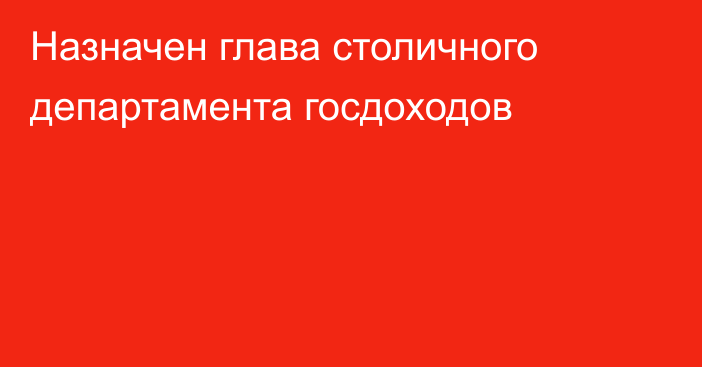 Назначен глава столичного департамента госдоходов